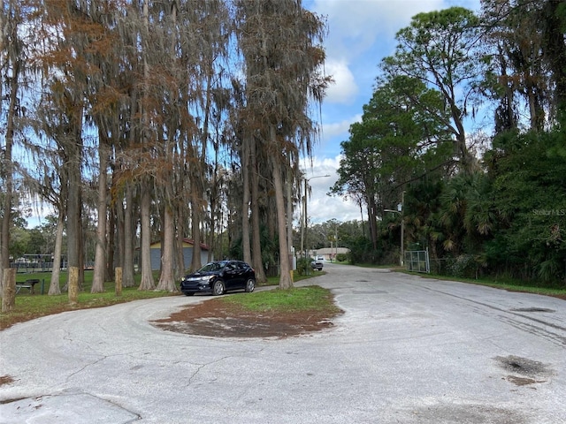 12419 Lamont Ave, New Port Richey, FL 34654 - view of road featuring street lights