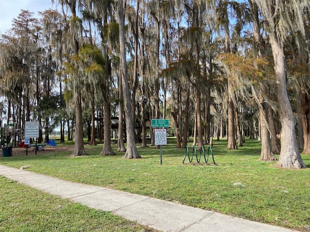 12419 Lamont Ave, New Port Richey, FL 34654 - view of community featuring a yard