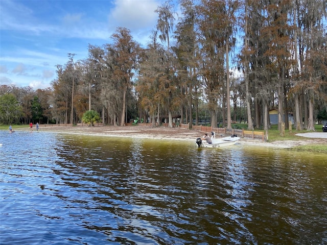 12419 Lamont Ave, New Port Richey, FL 34654 - water view with a tree filled landscape