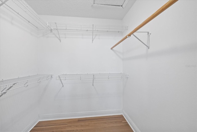 4439 Reeves Rd, New Port Richey, FL 34652 - walk in closet with wood finished floors and attic access