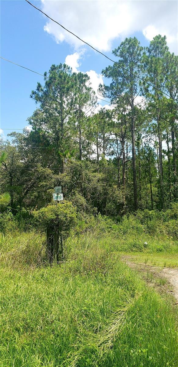 0 Ladd Ave, New Port Richey, FL 34654