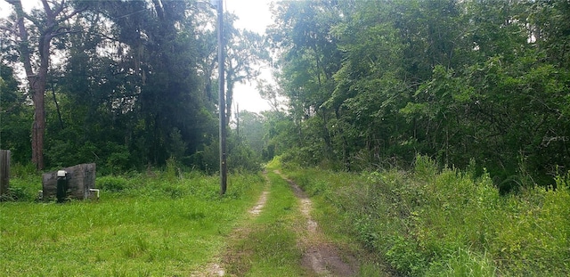 TBD Ladd Ave, New Port Richey, FL 34654