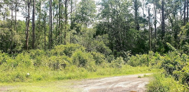 TBD Ladd Ave, New Port Richey, FL 34654