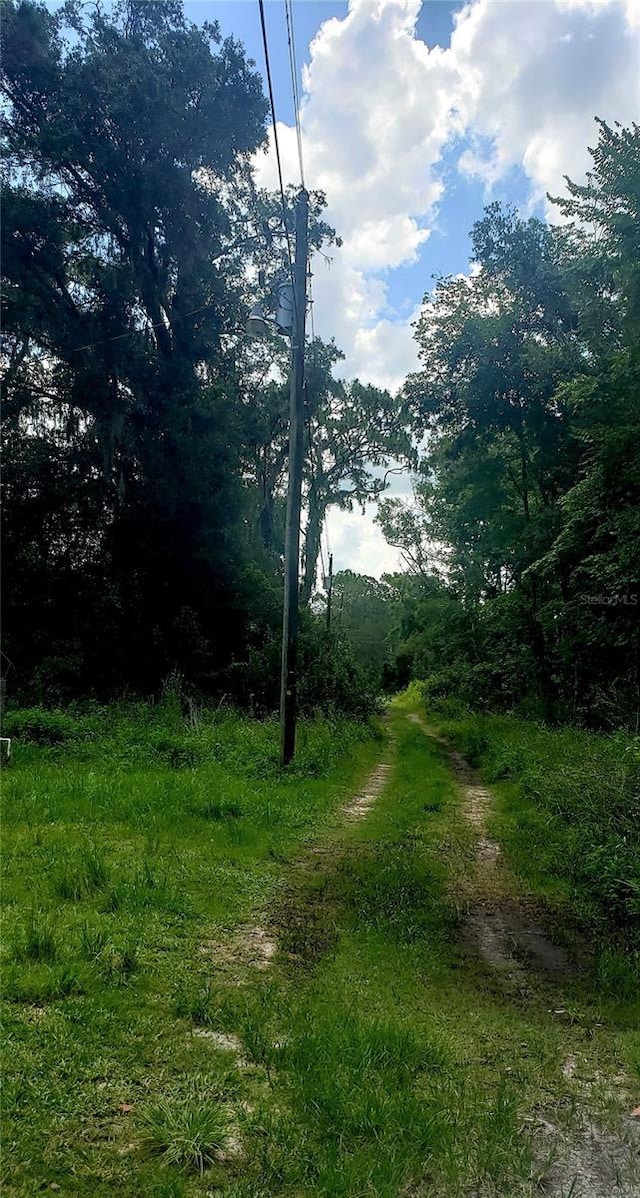 TBD Ladd Ave, New Port Richey, FL 34654