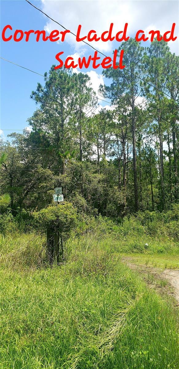 TBD Ladd Ave, New Port Richey, FL 34654