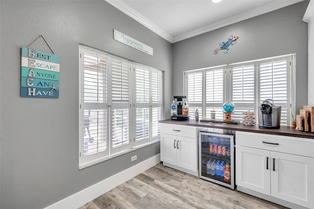 9309 Edistro Pl, New Port Richey, FL 34654 - indoor dry bar with beverage cooler, crown molding, and light wood-type flooring