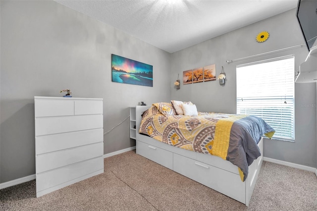 9309 Edistro Pl, New Port Richey, FL 34654 - bedroom featuring carpet flooring and a textured ceiling