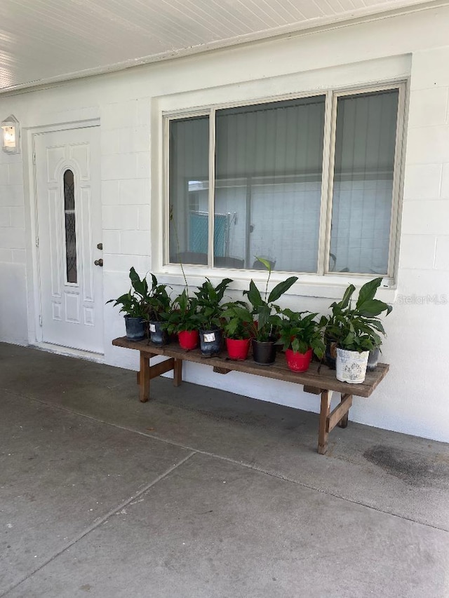 3530 Beechwood Ter N, Pinellas Park, FL 33781 - photo 15