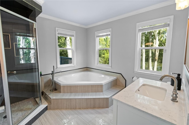 2202 Amity Ct, New Port Richey, FL 34655 - bathroom featuring a bath, vanity, a stall shower, and crown molding