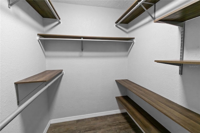 2202 Amity Ct, New Port Richey, FL 34655 - walk in closet with wood finished floors