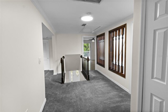 2202 Amity Ct, New Port Richey, FL 34655 - hall with an upstairs landing, attic access, carpet flooring, and ornamental molding