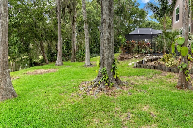 2202 Amity Ct, New Port Richey, FL 34655 - view of grassy yard with a lanai