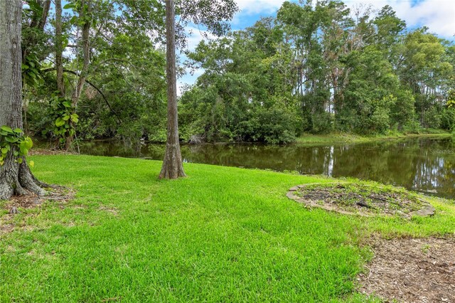 2202 Amity Ct, New Port Richey, FL 34655 - view of grassy yard with a water view