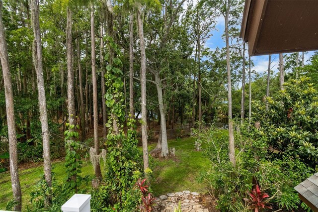 2202 Amity Ct, New Port Richey, FL 34655 - view of yard