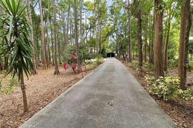 2202 Amity Ct, New Port Richey, FL 34655 - view of road