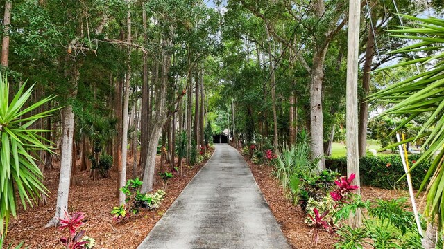 2202 Amity Ct, New Port Richey, FL 34655 - surrounding community