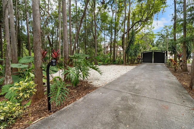 2202 Amity Ct, New Port Richey, FL 34655 - view of yard with a gate, a detached carport, and driveway