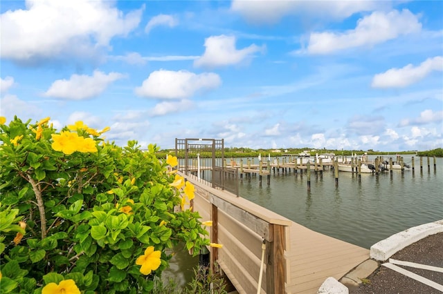 19531 Gulf Blvd Unit 611, Indian Shores, FL 33785 - photo 44