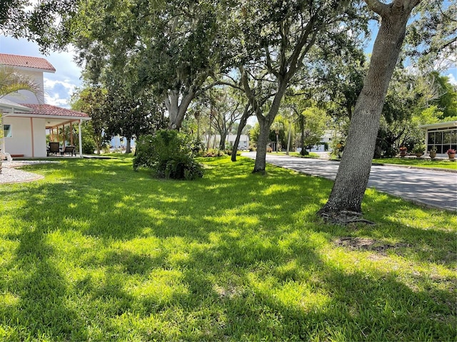 20971 Negril Ct, Lutz, FL 33558 - view of grassy yard
