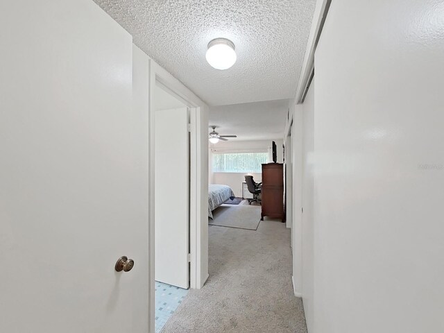 2261 Swedish Dr Unit 37, Clearwater, FL 33763 - photo 24