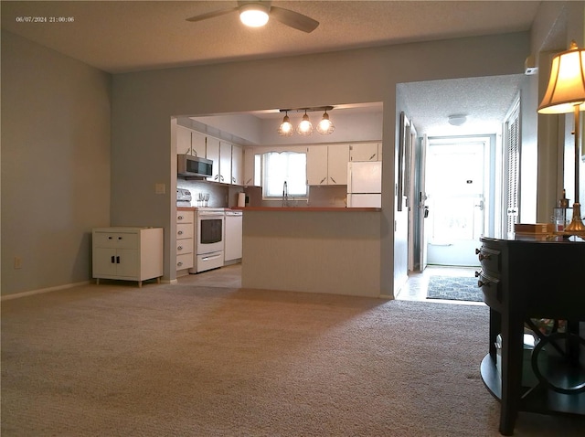 2261 Swedish Dr Unit 37, Clearwater, FL 33763 - photo 18