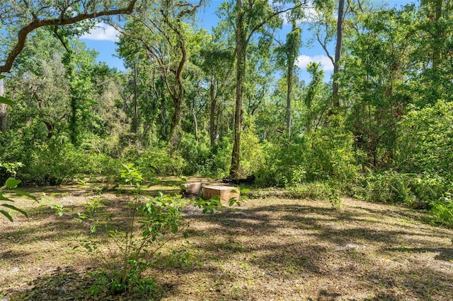 25487 Dan Brown Hill Rd, Brooksville, FL 34602 - photo 74