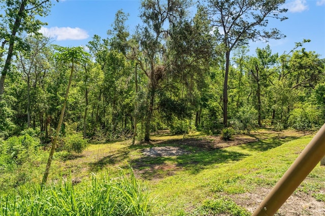 25487 Dan Brown Hill Rd, Brooksville, FL 34602 - photo 76