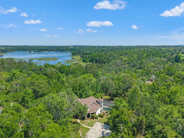 25487 Dan Brown Hill Rd, Brooksville, FL 34602 - photo 78