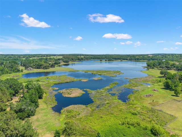 25487 Dan Brown Hill Rd, Brooksville, FL 34602 - photo 80
