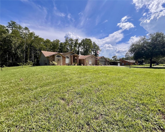 10060 Chip Ln, New Port Richey, FL 34654 - view of grassy yard