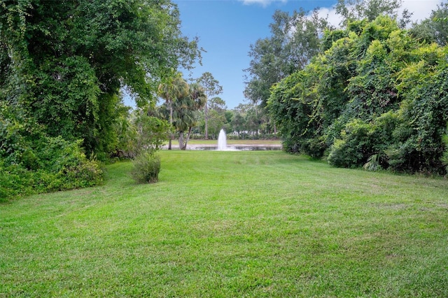 7268 Crystal Spring Run, Weeki Wachee, FL 34607 - view of green lawn featuring a water view