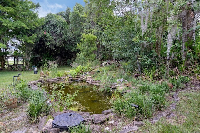 7268 Crystal Spring Run, Weeki Wachee, FL 34607 - view of yard featuring a garden pond