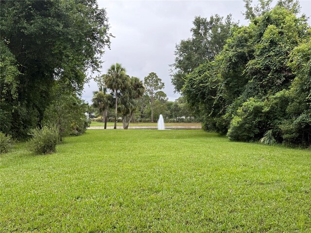 7268 Crystal Spring Run, Weeki Wachee, FL 34607 - photo 85
