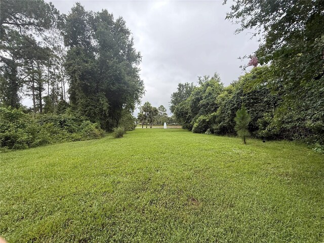 7268 Crystal Spring Run, Weeki Wachee, FL 34607 - photo 86
