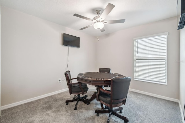 11395 Lavender Loop, Spring Hill, FL 34609 - photo 13