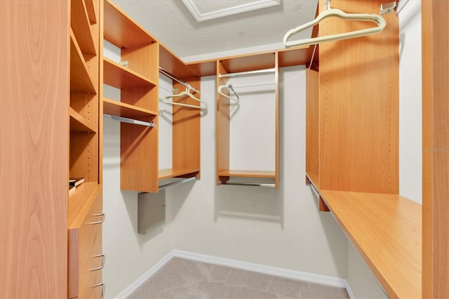 11418 Tee Time Cir, New Port Richey, FL 34654 - spacious closet with carpet flooring