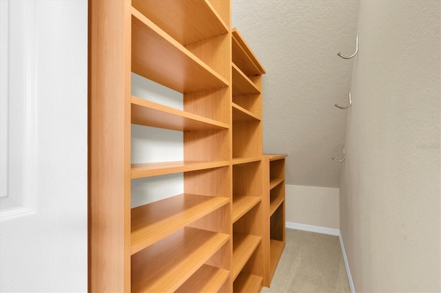 11418 Tee Time Cir, New Port Richey, FL 34654 - walk in closet with carpet flooring