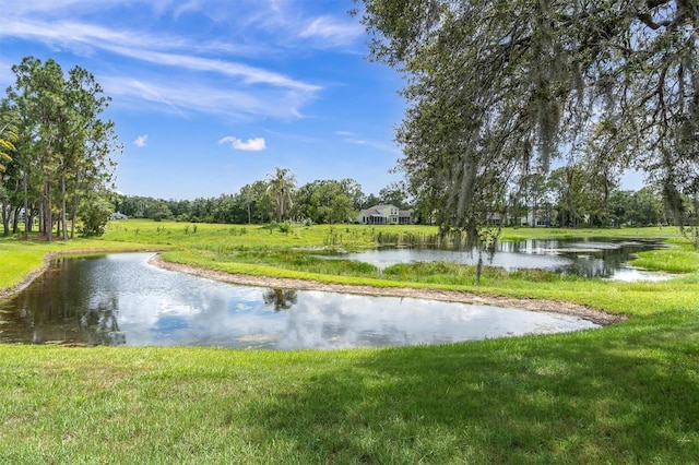 11418 Tee Time Cir, New Port Richey, FL 34654 - water view