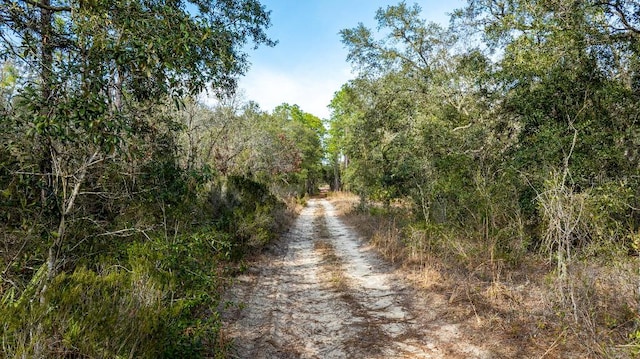 NE 90th St, Bronson, FL 32621