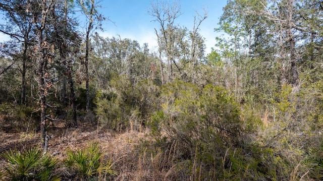 NE 90th St, Bronson, FL 32621