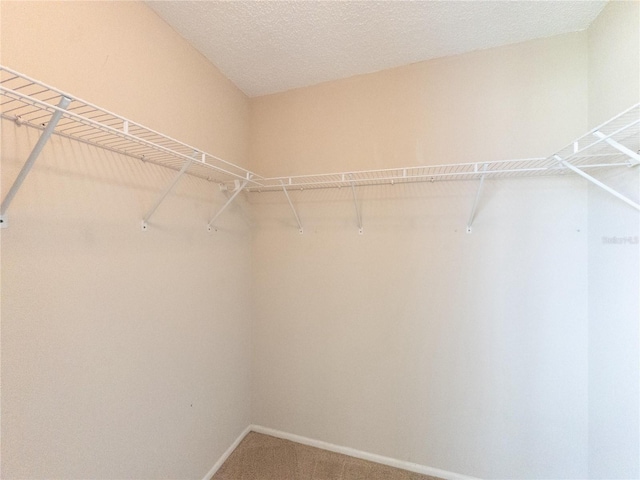 2414 San Luis Rd, Holiday, FL 34691 - photo 28