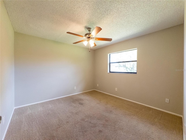 2414 San Luis Rd, Holiday, FL 34691 - photo 33
