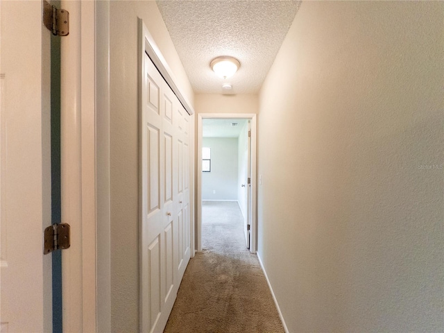 2414 San Luis Rd, Holiday, FL 34691 - photo 37
