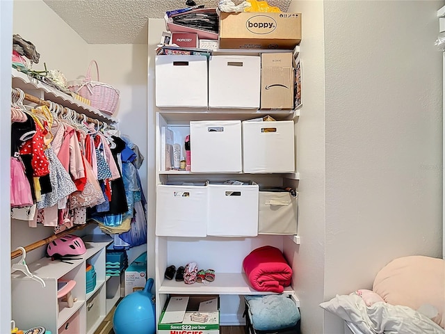 9425 Sterling Ln, Port Richey, FL 34668 - view of spacious closet