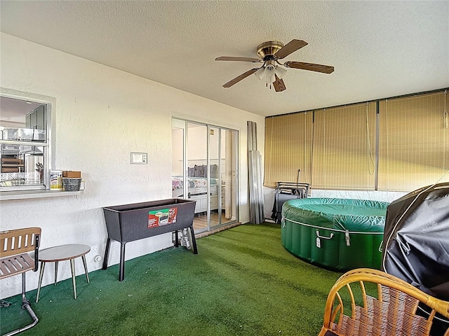 9425 Sterling Ln, Port Richey, FL 34668 - view of green lawn featuring ceiling fan