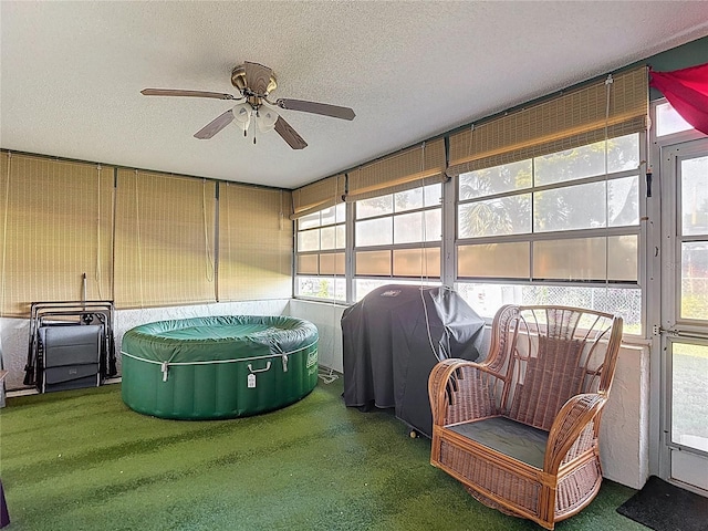 9425 Sterling Ln, Port Richey, FL 34668 - sunroom with ceiling fan