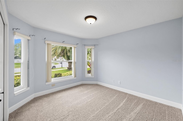 252 Arbor Woods Cir, Oldsmar, FL 34677 - carpeted empty room featuring baseboards