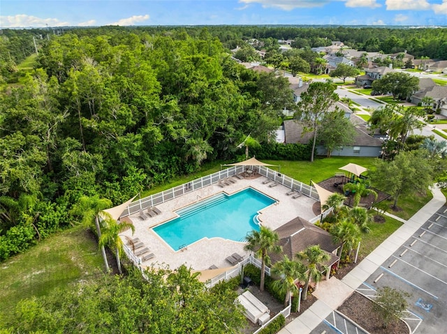252 Arbor Woods Cir, Oldsmar, FL 34677 - view of community pool