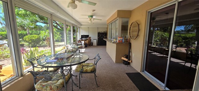 10211 Oleander Dr, Port Richey, FL 34668 - photo 25