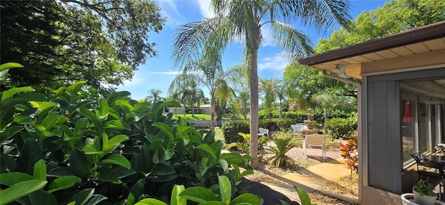 10211 Oleander Dr, Port Richey, FL 34668 - photo 29